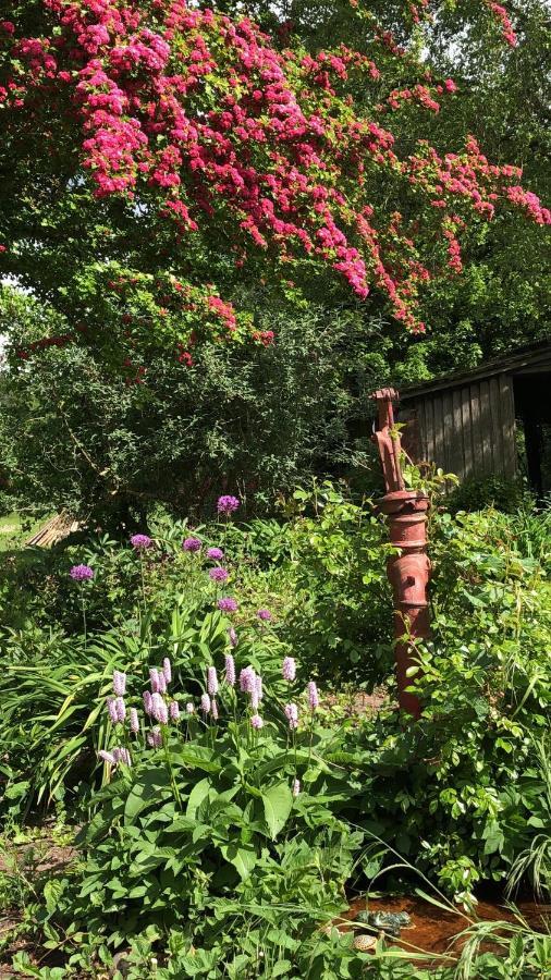 Skovfogedhuset Abildskov (Broby) Eksteriør bilde